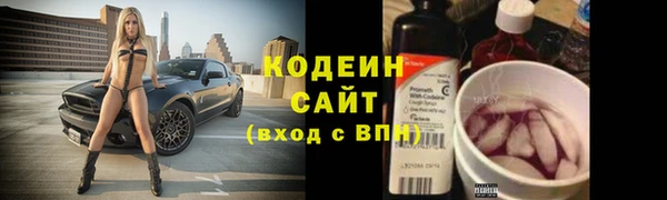 шишки Богородицк