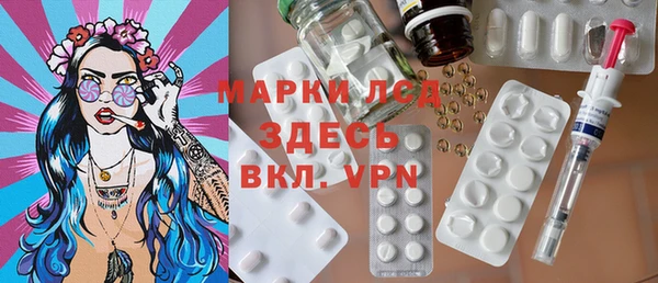 шишки Богородицк