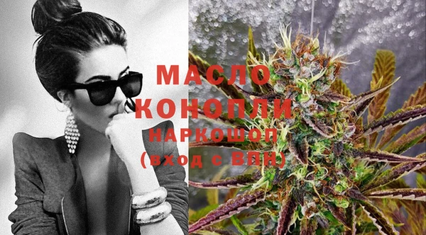 прущий лед Богданович