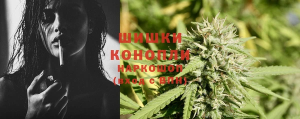 прущий лед Богданович